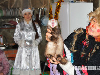 new-year-850-531-019.jpg