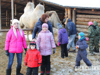 new-year-850-531-154.jpg