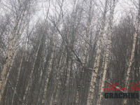priklyuchenie-grachikoff-club-na-yuzhnom-urale-850-531-17.jpg