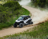 RZR PRO XD 2020